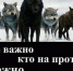 Минниханов удивил подписчиков демотиватором - E-kazan.Ru