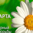 Декадник ко Всемирному дню борьбы с туберкулёзом - Противотуберкулезный диспансер