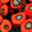 Palm oil 1022012 960 720 - Inkazan.Ru