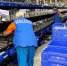 1 - Inkazan.Ru