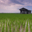 Beautiful 1866498 960 720%5b1%5d - Inkazan.Ru