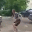 Сбил двух человек на видео: "Я при исполнении, мне можно.." - AutoTat.Ru