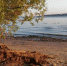 Из-за обмеления Волги ожидаются миллиардные убытки судоходных компаний – СМИ - Inkazan.Ru