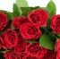 rose1.jpg - Академия наук РТ