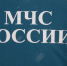 В Татарстане мужчина разбился насмерть в бункере с зерном - Inkazan.Ru