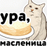 Одноклассники к Масленице создали стикерпак со знаменитым котом Джазом - Inkazan.Ru