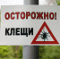 клещи - Газета Республика Татарстан