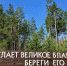 Минлесхоз РТ проводит республиканский смотр-конкурс «Лучшее лесничество Республики Татарстан 2020 года» - Министерство лесного хозяйства