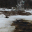 Фото: eco.tatarstan.ru. - Казанский репортер