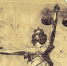 Фигурант дела ОПГ «Тукаевские» пришел в Верховный суд РТ пьяным и сорвал процесс - ТРК Татарстан-Новый век
