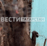 В казанском приюте живодер повесил собаку на заборе - ГТРК Татарстан