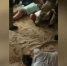 «Лежать! Руки за спину!»: МВД опубликовало видео задержания банды вымогателей из Средней Азии, кошмаривших бизнесменов в Казани - Вечерняя Казань
