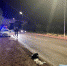 В Татарстане водитель Audi насмерть сбил женщину на глазах у ее дочери - ТРК Татарстан-Новый век