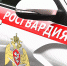 В Набережных Челнах сотрудники ОВО Росгвардии задержали подозреваемого в краже электроинструмента из магазина - Росгвардия