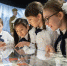 Стартовало голосование за лучший школьный музей - Министерство образования