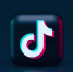 СМИ назвали дату разблокировки соцсети TikTok в России - ТРК Татарстан-Новый век