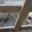 Краснокнижное животное попало в беду из-за людей в Заполярье - видео - ТРК Татарстан-Новый век