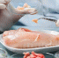 Ученые нашли новую технологию для уничтожения сальмонеллы в продуктах - Главное управление ветеринарии