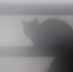 В конце рабочей недели в Татарстане вероятны дожди и туман - ТРК Татарстан-Новый век
