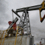 Сыновья Шаймиева перекроили «Малые нефтяные компании» - Казанский репортер