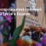 Прямая трансляция на ТНВ: церемония награждения премией им. Габдуллы Тукая в Казани - ТРК Татарстан-Новый век