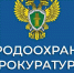 В Татарстане по требованию природоохранной прокуратуры прекращен сброс сточных вод в реку Бетька - Министерство лесного хозяйства