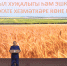 Рустам Минниханов труженикам сельского хозяйства: Благодаря вашему самоотверженному труду на столах всегда свежие хлеб, молоко, мясо и овощи - Минсельхоз