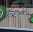 В Муслюмовском районе после реновации открылся детский лагерь «Лесная страна» - Единая Россия