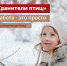 Продолжается прием заявок на конкурс «Хранители птиц» - Министерство лесного хозяйства