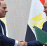 Путин пригласил президента Египта ас-Сиси на саммит БРИКС в Казани - Казанский репортер