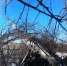 Российские военные уничтожили несколько западных артсистем - ГТРК Татарстан