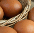Граждан России предупредили о росте стоимости яиц: они преподнесут настоящий сюрприз - ProKazan.Ru