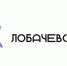 Стартапы «ТИСБИ» могут получить до 40 млн рублей - Тисби