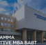 Что такое Executive MBA и как она помогает топ-менеджменту? - Реальное время