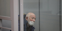 Чиновников Казани заподозрили в халатности с отловом собак, Лившицу предъявили новое обвинение - Реальное время