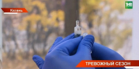 Тревожный сезон: какова эпидситуация в Татарстане, и как себя защитить - ТРК Татарстан-Новый век