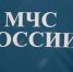 Россиянам посоветовали собрать «тревожный чемоданчик»: зачем и что туда входит - Inkazan.Ru