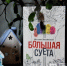 «Ирония судьбы» по-дагестански - Реальное время