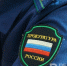 Владимир Путин поздравил работников прокуратуры с профессиональным праздником - Реальное время