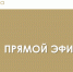 Проведен прямой эфир на тему «Инвестиционные программы в тарифном регулировании» - Комитет РТ по тарифам