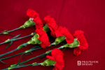 Похороны Папы Римского Франциска назначили на 26 апреля