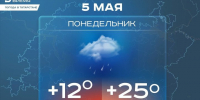 Сегодня в Татарстане местами ожидается кратковременный дождь и до +25 градусов - Реальное время