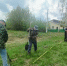 «Сад памяти»: в Татарстане посадили яблони в честь героев ВОВ и СВО - ТРК Татарстан-Новый век