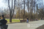 Потерпевшие в ДТП с самокатами требуют у кикшеринговых компаний возмещения ущерба