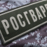 В Татарстане Росгвардия выполнила задачи по обеспечению безопасности KazanForum - ГТРК Татарстан