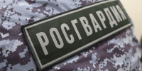 В Татарстане Росгвардия выполнила задачи по обеспечению безопасности KazanForum - ГТРК Татарстан