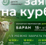 БФ «Закят» принимает заявки на жертвенных животных к Курбан-байраму - Духовное управление мусульман
