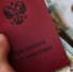 Указ подписан: в Госдуме назвали срок следующего повышения пенсий - когда ждать прибавку - ProKazan.Ru