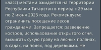 Татарстанцев предупредили о высокой пожароопасности лесов - ИА Татар-информ