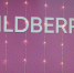Минниханов встретился с владелицей Wildberries Татьяной Ким - ProKazan.Ru